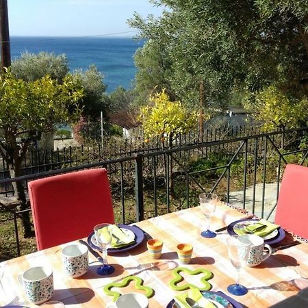 Gerakina Beach Cottage 사코우디아 외부 사진
