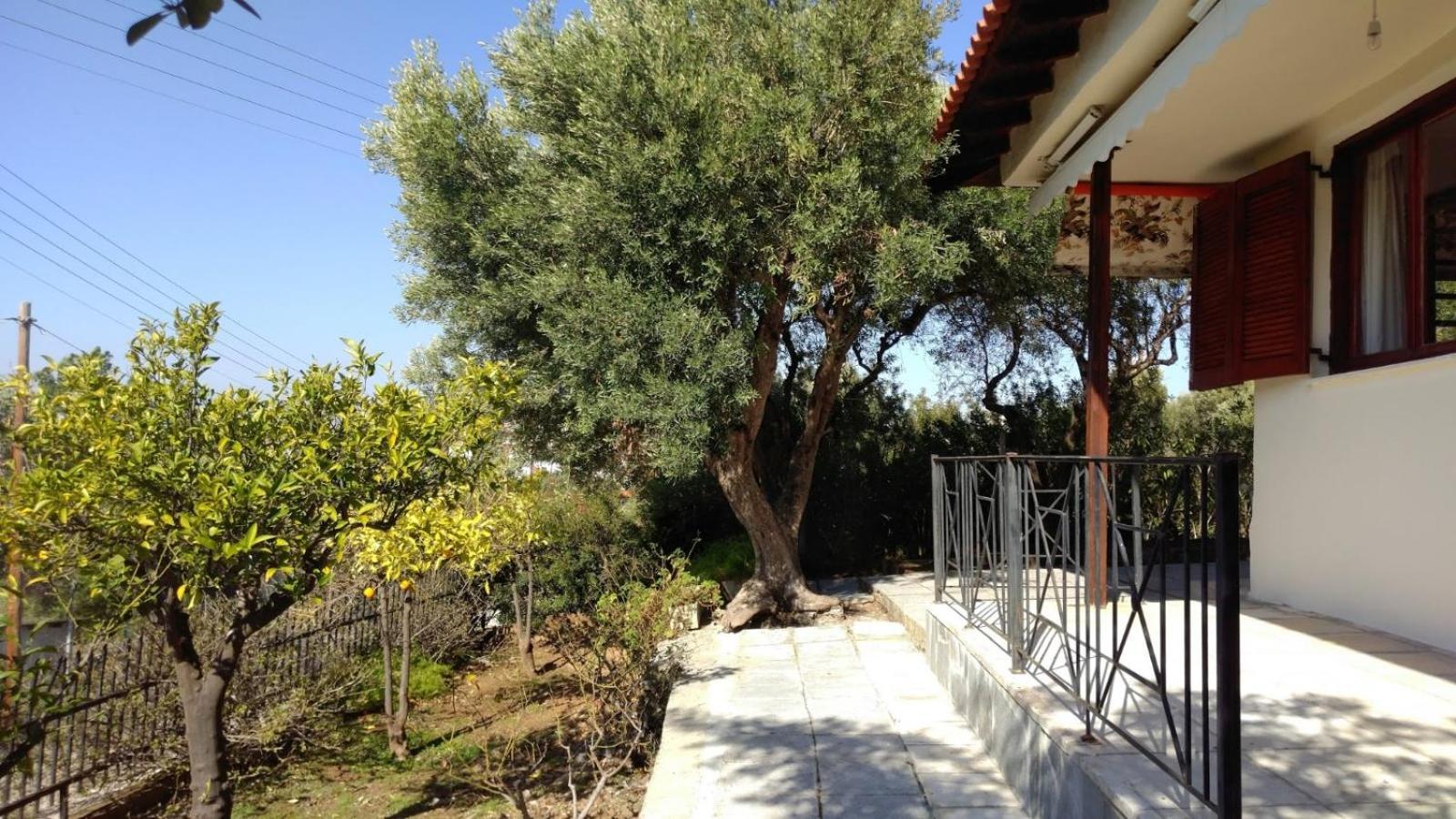 Gerakina Beach Cottage 사코우디아 외부 사진